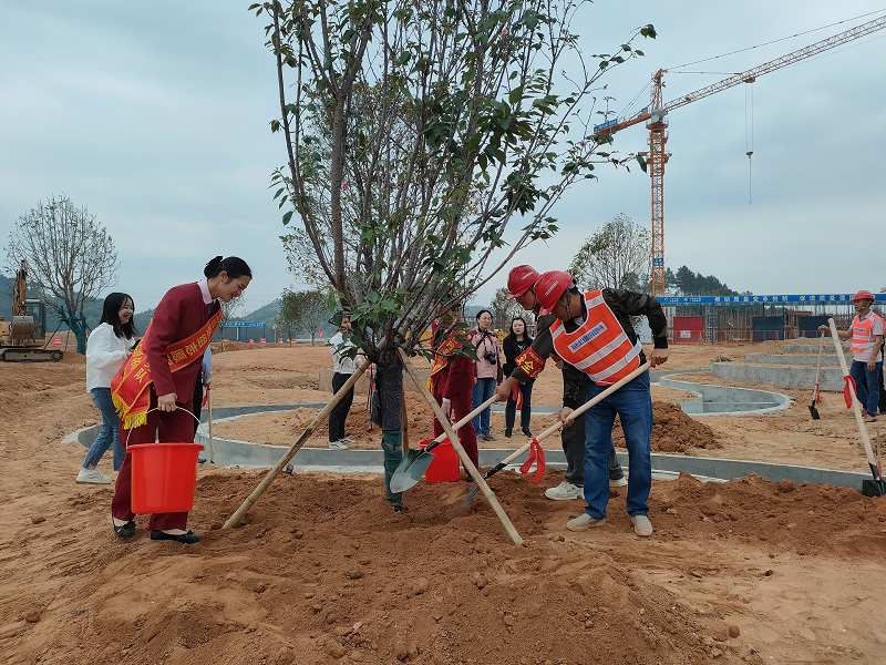 1678695639116.jpg mmexport1678693006920.jpg