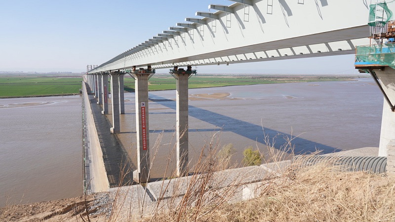 1742977179602.jpg C1190T01.jpg