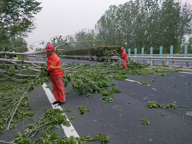 1744676071413.jpg 微信圖片_20250414162447.jpg