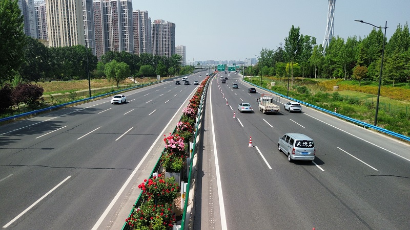 1745395714470.jpg 機場高速月季盛開 扮靚春日旅途.jpg